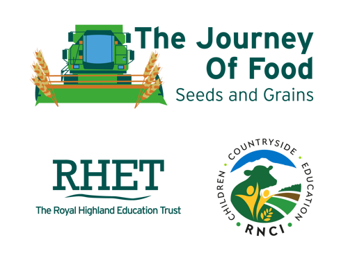 The Journey of Food - Seeds and Grains